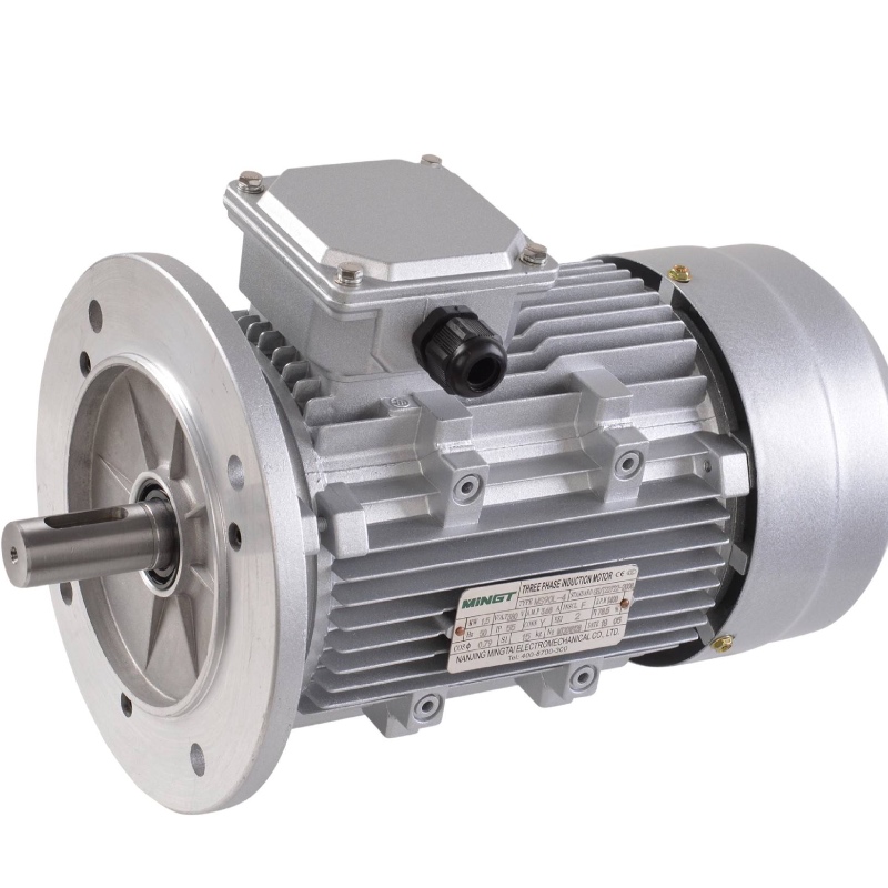 Elektrisk motorisk magnet